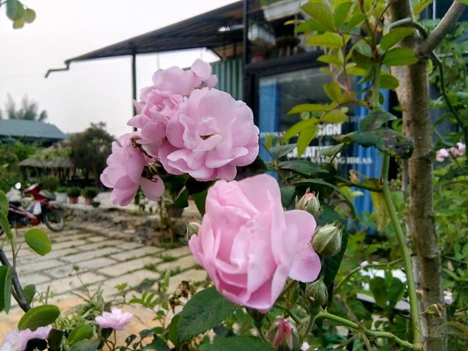 Savana Mộc Châu Bed & Breakfast Ngoại thất bức ảnh