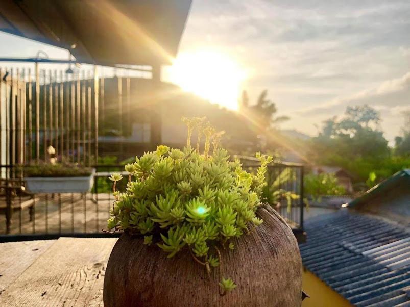 Savana Mộc Châu Bed & Breakfast Ngoại thất bức ảnh